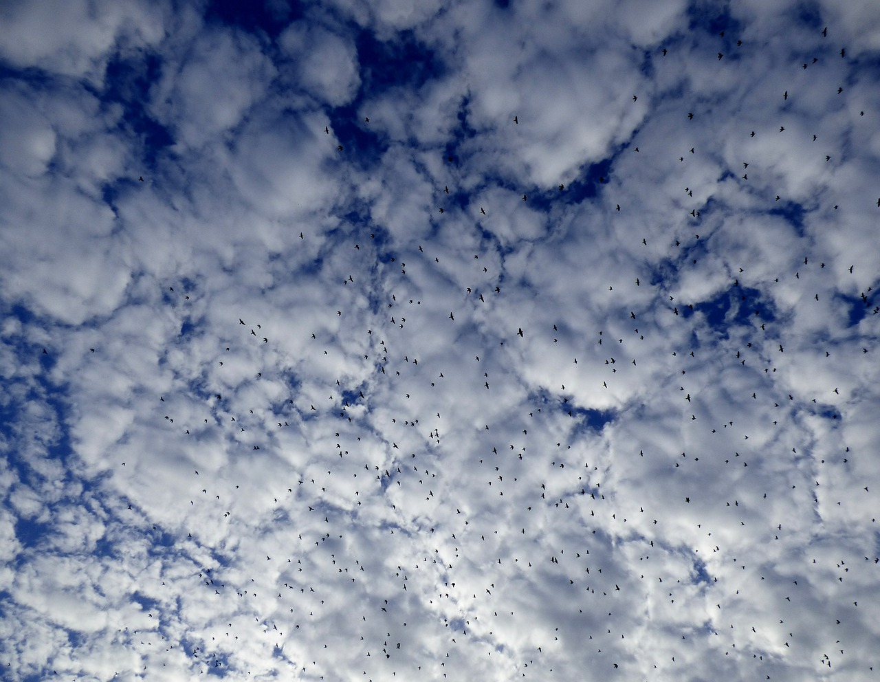 cloud-and-wan.jpg