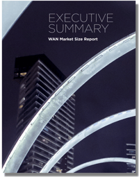 wmsr executive summary-1-1